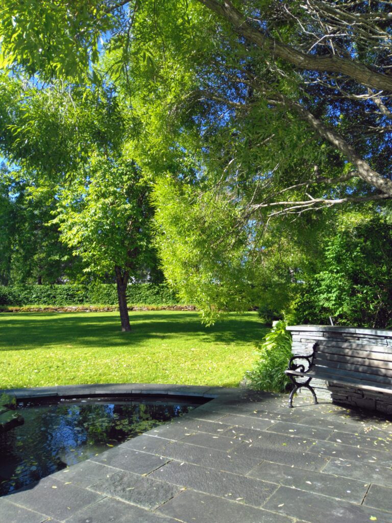 Droppande fontän med pilträd och parkbänk i skuggan, sommarmorgon på kyrkogården. Foto: Marlene Tyckosdotter
