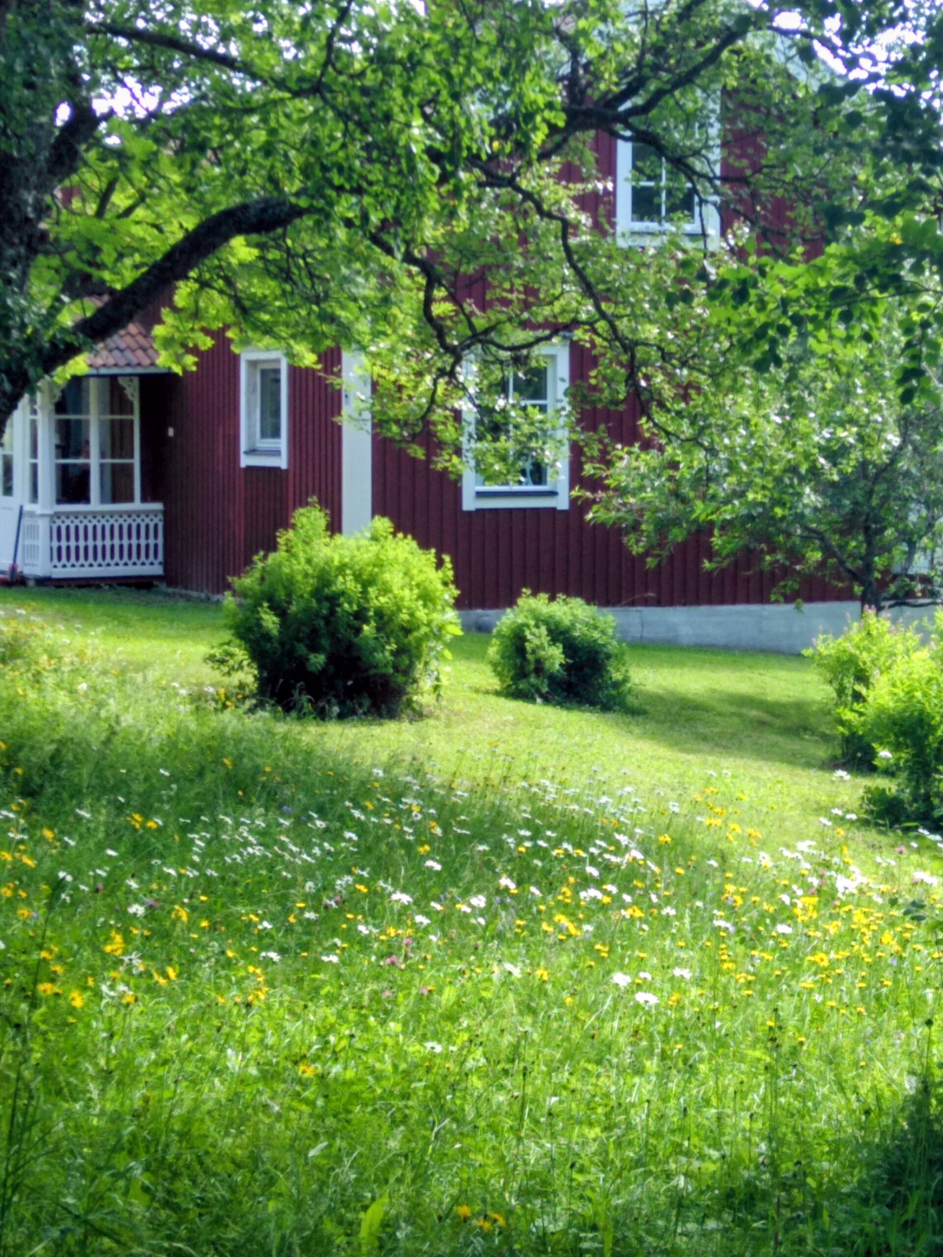 Ett hus och blommor